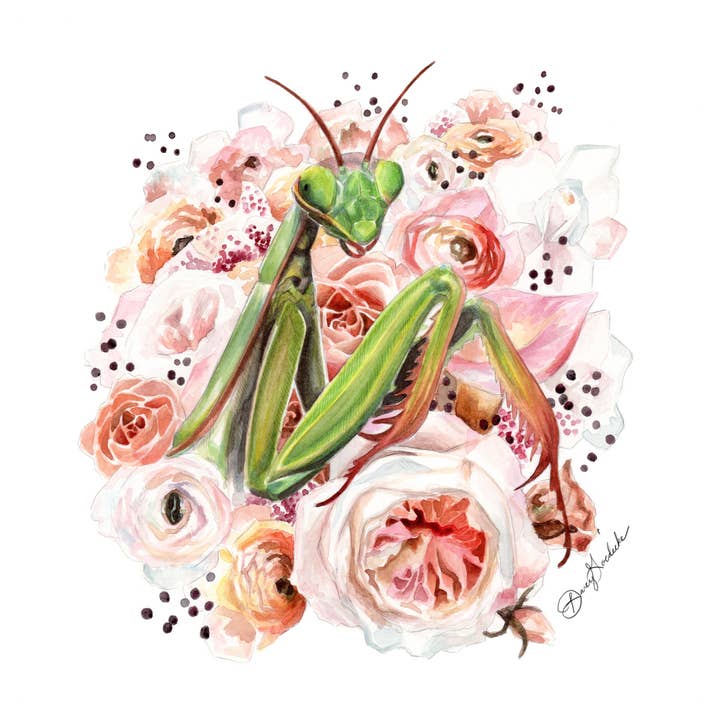 Mantis | Imprimer pour la vente par Whimsical Art by Darcy Goedecke