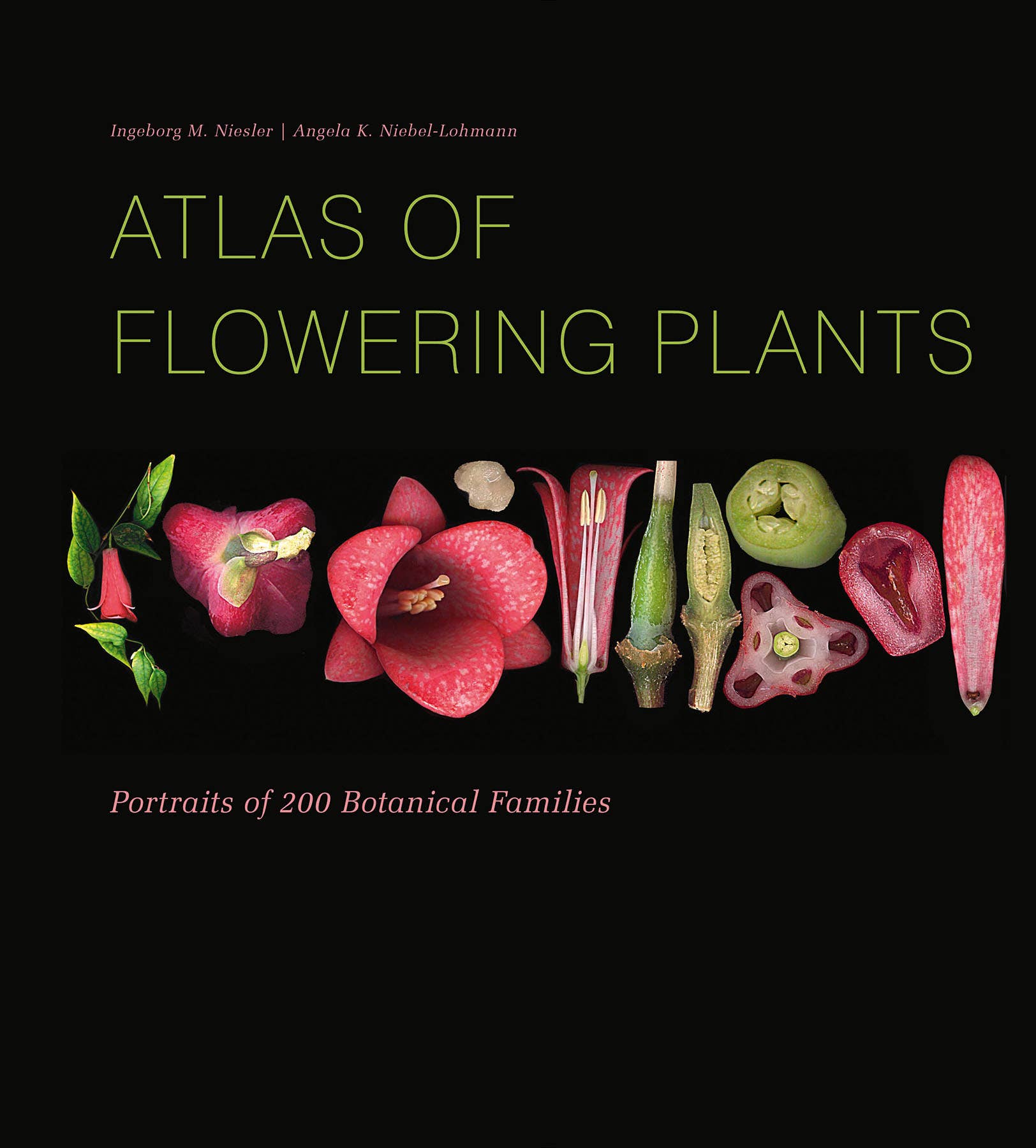 Schiffer Publishing - Vente Nature & Outdoors - Atlas des plantes à fleurs0