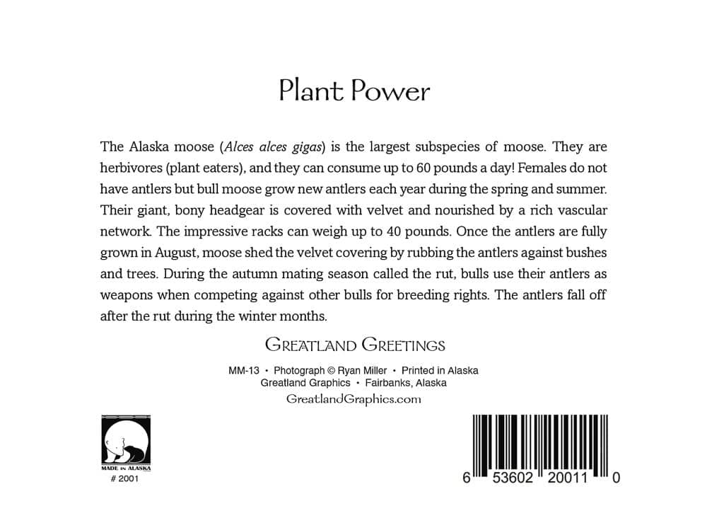 Greatland Graphics - Vente Assortiments de papeterie/cartes - Énergie de la centrale1