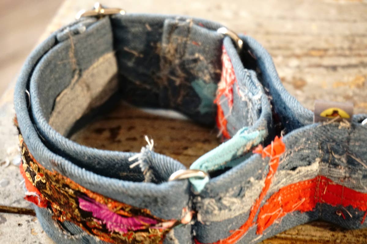 hundsfutter - Wholesale Pet Collar - Dog - “Easy” anti-escape dog collar - mixed media jeans13