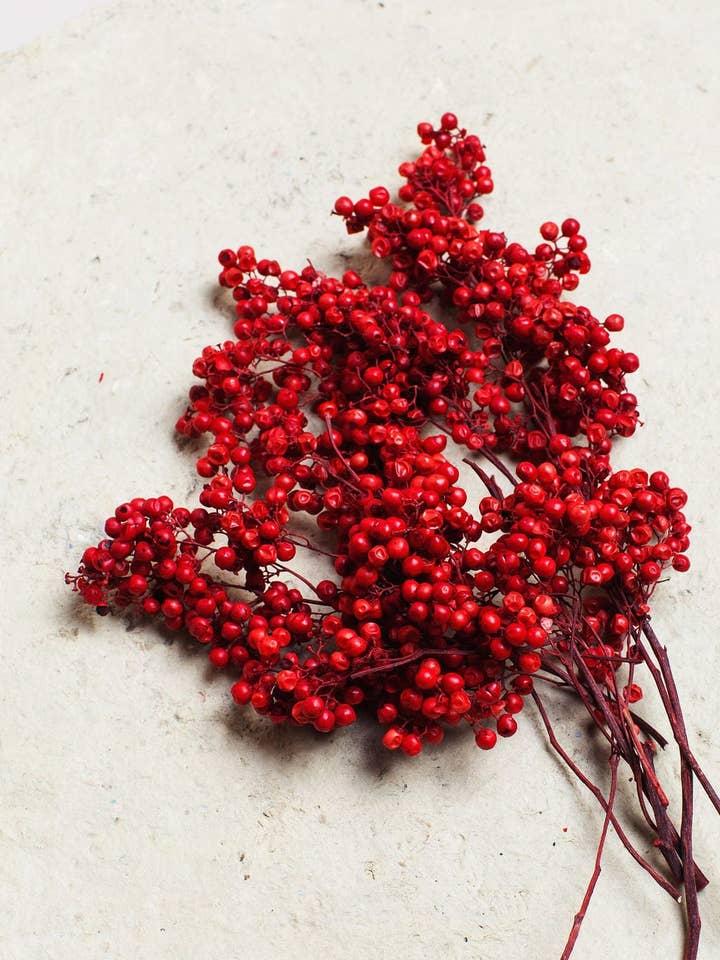 Red Preserved Pepperberry for wholesale by Idlewild Floral Co.