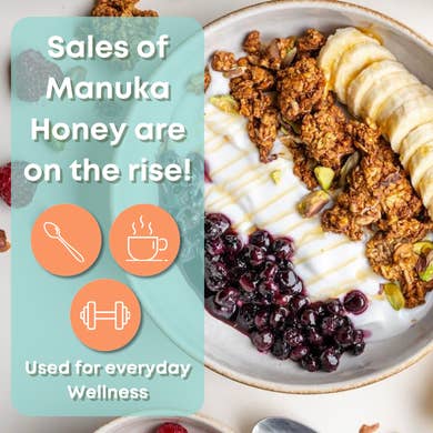 Airborne Honey USA - Wholesale Honey - Manuka 70+ Monofloral Honey | Raw | Unfiltered | 8.8oz1