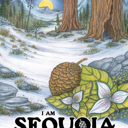 Books by splitShops - Wholesale Nature & Outdoors - I Am Sequoia - A Pinecone's Adventure - Paperback