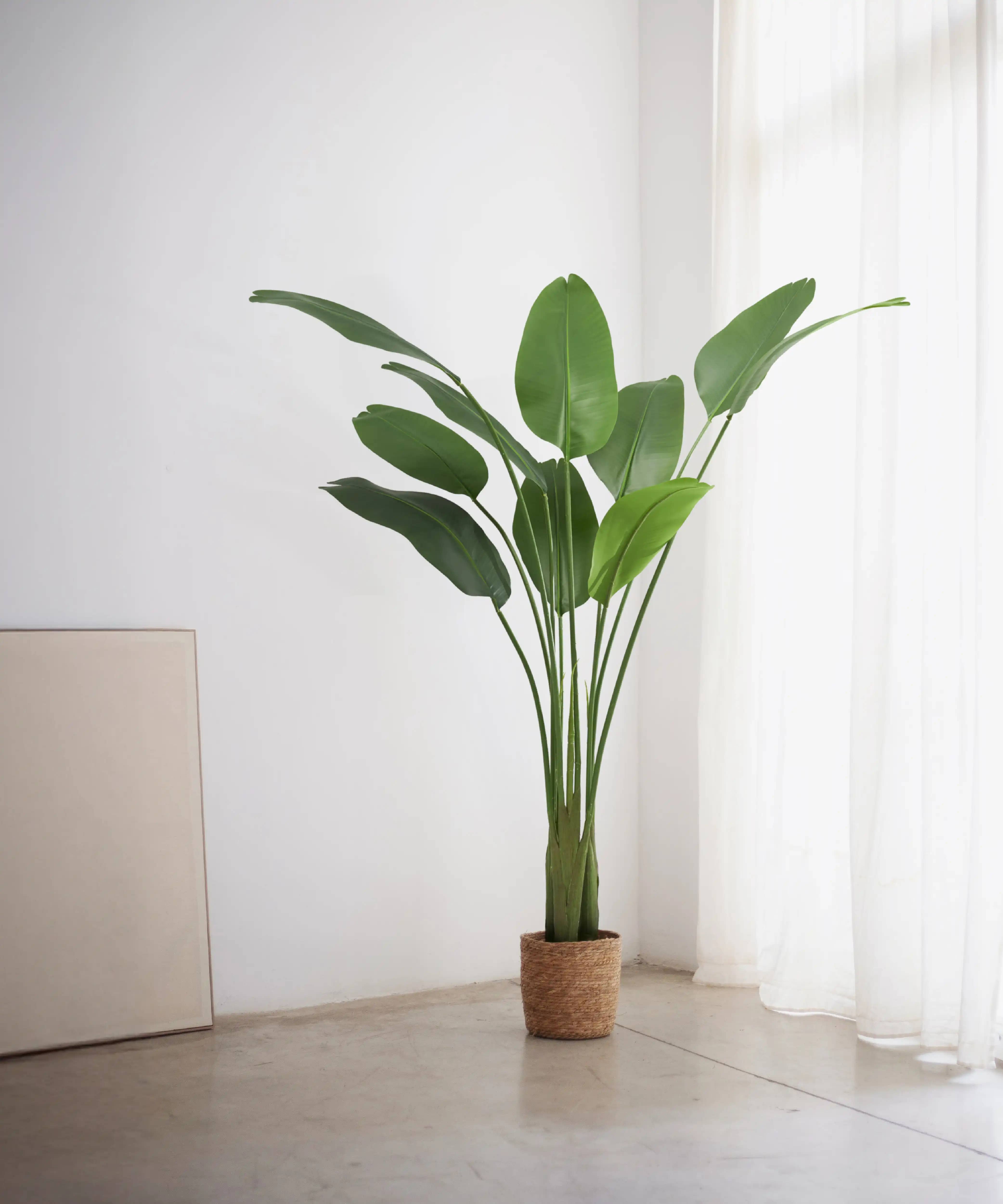 Maia Shop - Wholesale Artificial Plant - Artificial Bird of Paradise 180 cm
