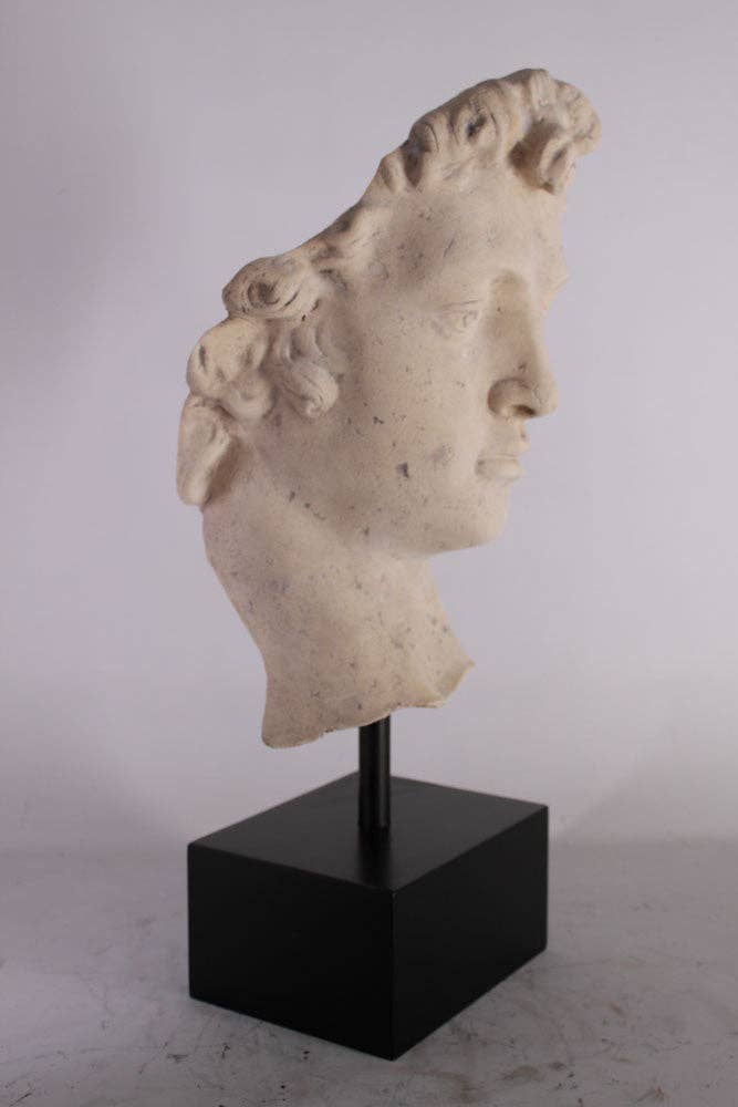 LM Treasures - Wholesale Sculpture - Stone David Head Life Size Statue3