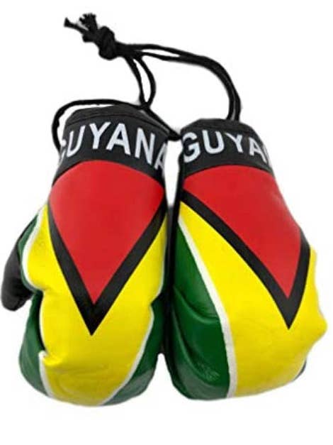 Guantes de boxeo Guyana para venta al por mayor de Guyanese Swag