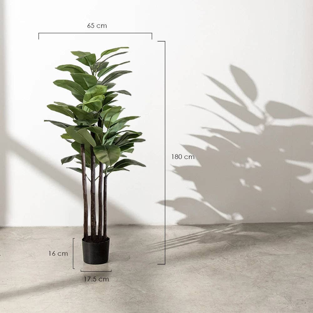 Maia Shop – wholesale Konstgjord växt – Konstgjord gummiplanta 180 cm2