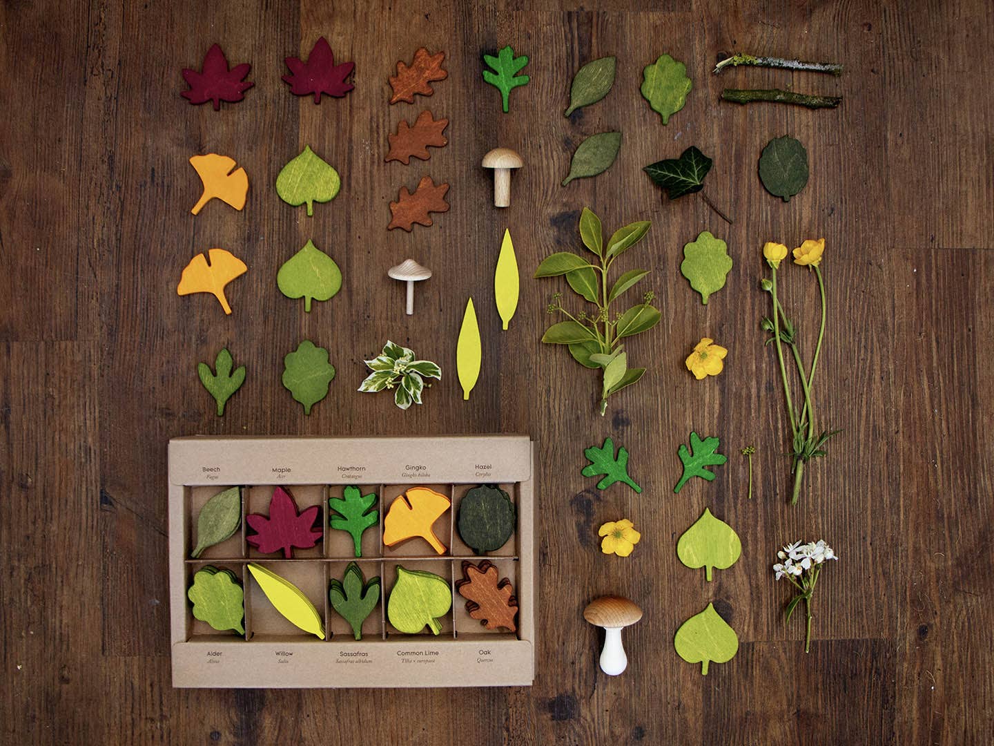 Living Refinery - Wholesale Houten speelgoed - Kinderen - [NIEUWE PRIJS] Moon Picnic - Bosbladeren8