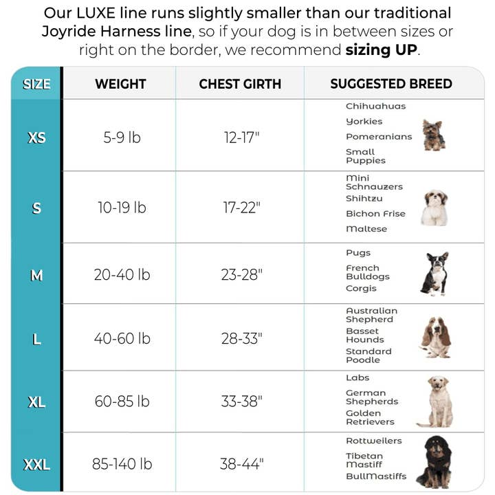 Joyride Harness - Wholesale Pet Harness - Dog - LUXE - Made in USA - Joyride Dog Harness (Solid Colors)2