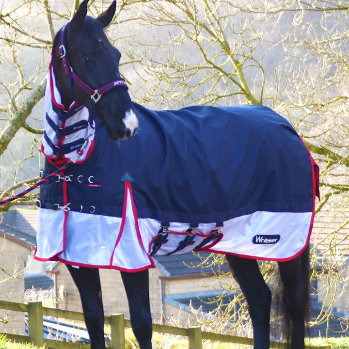 Rastrick V2 Airflo Turnout Horse Rug for wholesale by John Whitaker International Ltd
