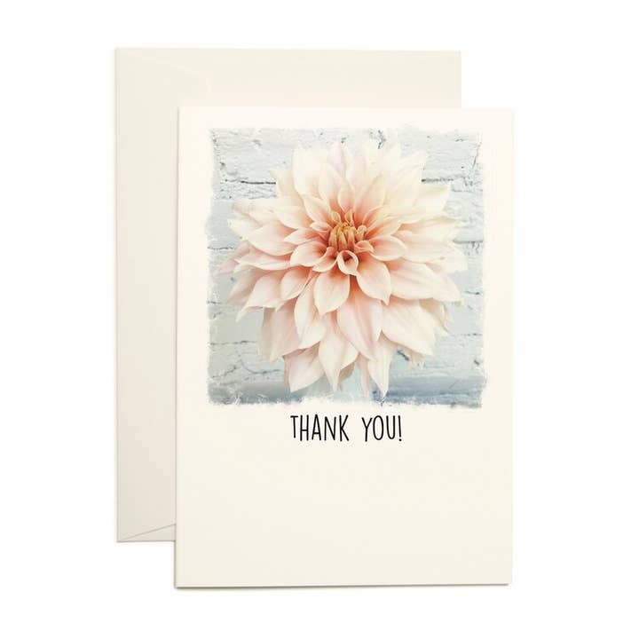 Paperlove Boutique - Wholesale Thank You Card - Thank You - Blush Dahlia