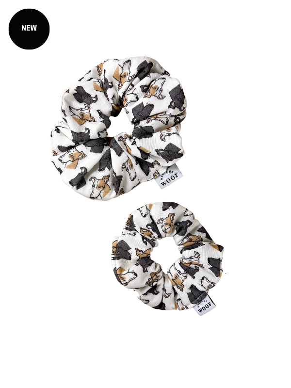 House of Woof – Großhandel Haargummi – Damen – Hunderasse Haargummi17
