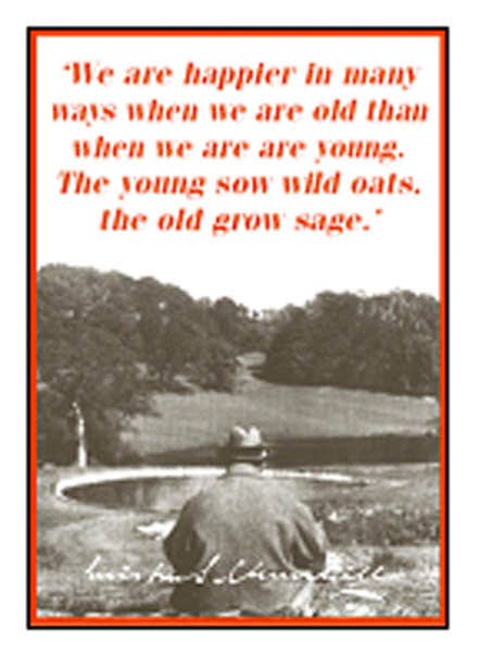 Instant Gifts International - Venta al por mayor Imanes - Imanes para nevera - Churchill4