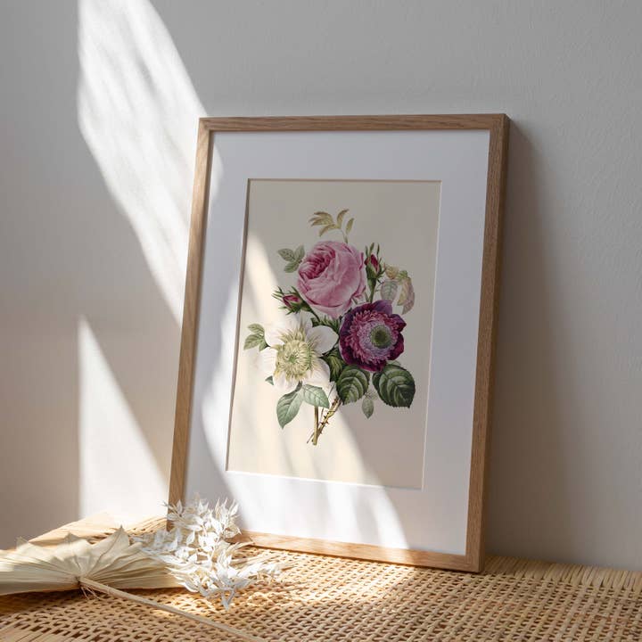 REMOVED BRAND - Venta al por mayor Ilustración - Póster 21x30 - Anémona y rosa repollo2