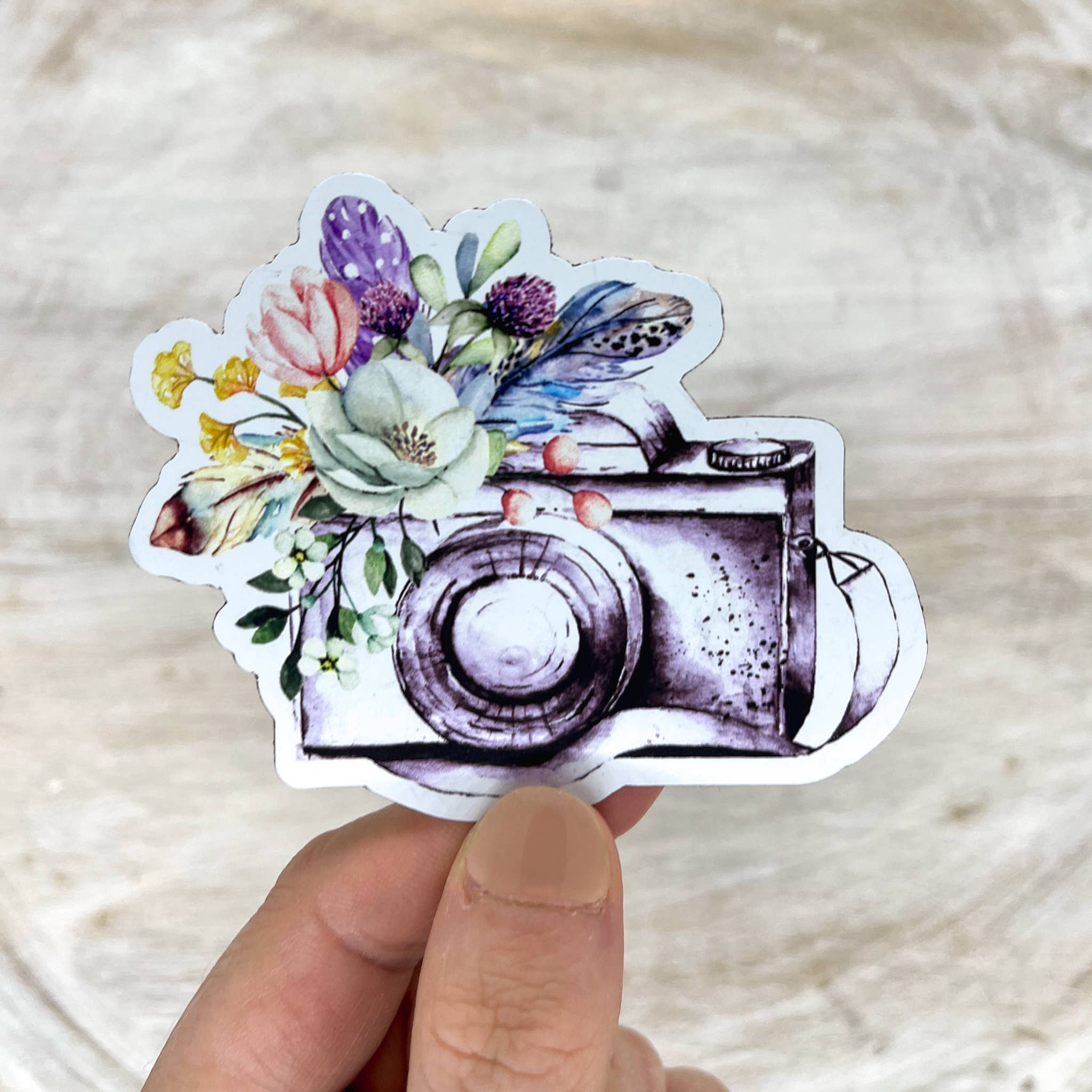 Savannah and James Co – Engroshandel Magnet – Spring Floral Kamera 3 „x 3" Magnet4