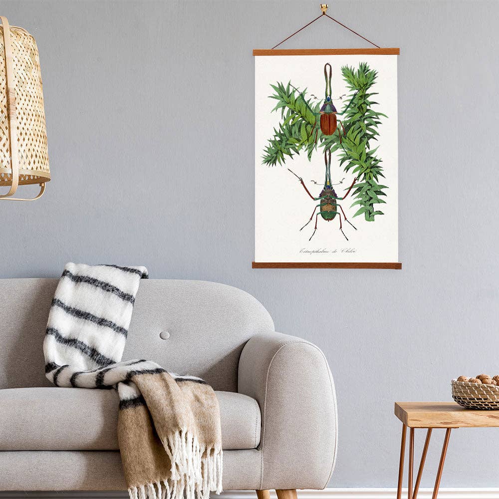 Vintage Banners - Wholesale Painting/drawing - Stag Beetle Painting by Paul Gervais - Giclee Print on Canvas with Magnetic Hanger2