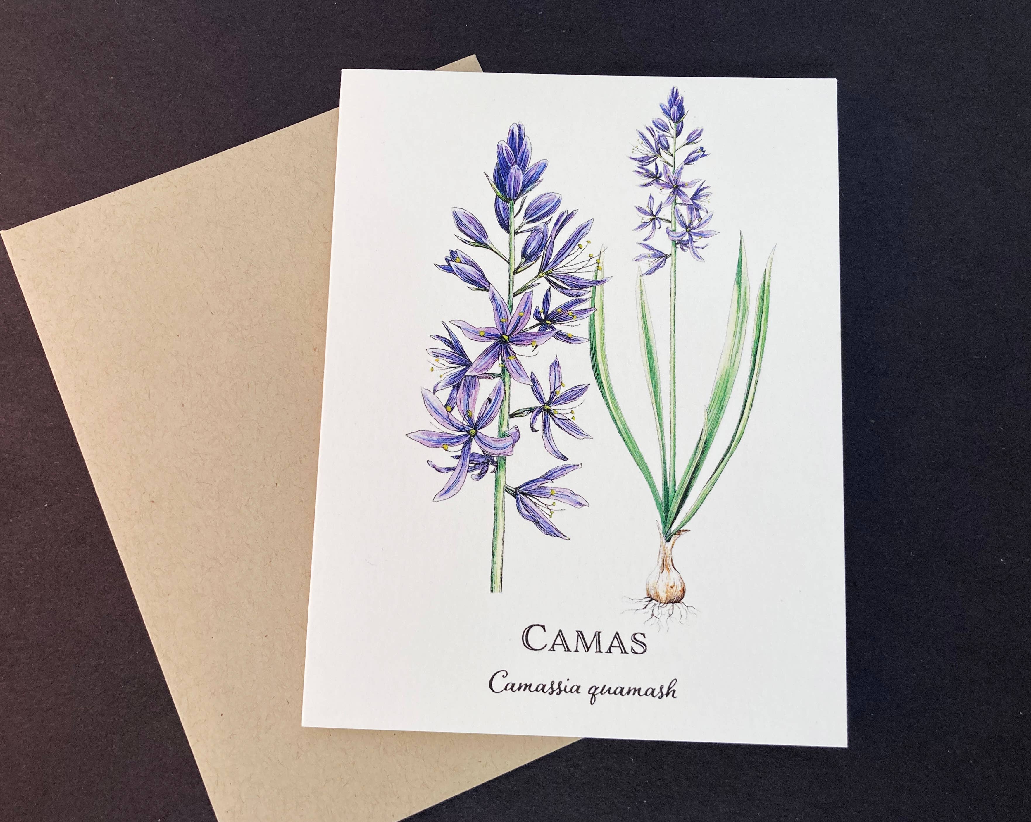 Madrona Press - Wholesale Everyday Greeting Card - Wildflower Card Set - 8 assorted flowers7