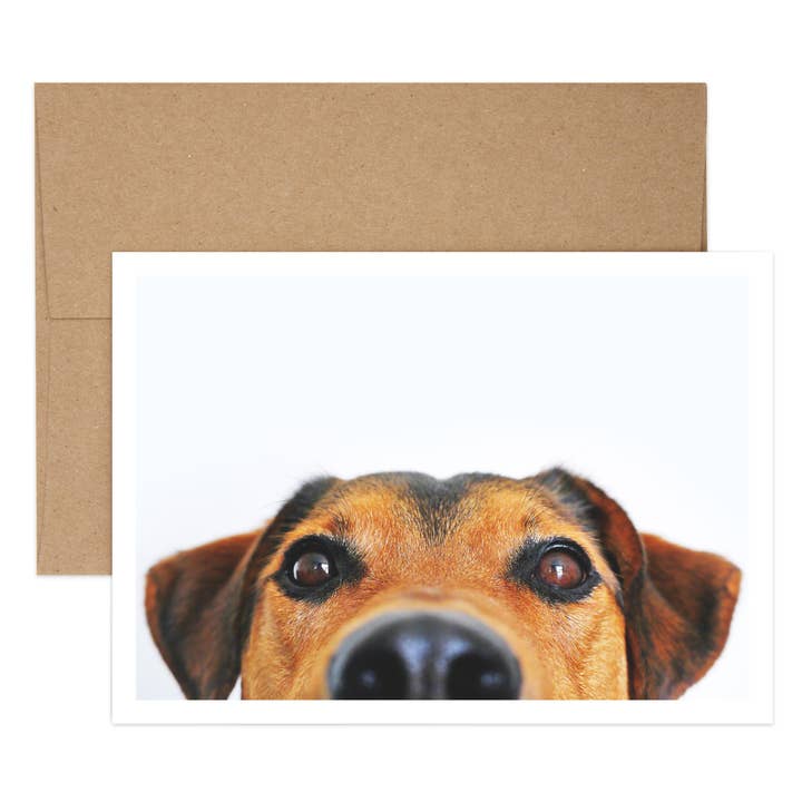 Biglietto di auguri di buon compleanno con torta per cani per la vendita all'ingrosso da parte di Salty Dog Publishing