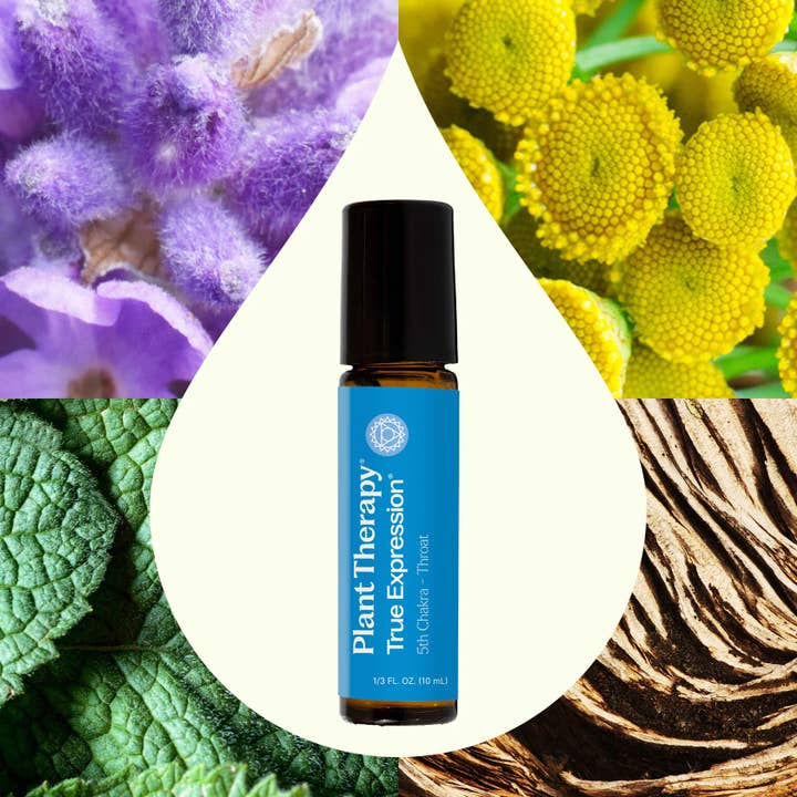 Plant Therapy - Wholesale Essential Oil - True Expression (Throat Chakra) Essential Oil Roll-on1