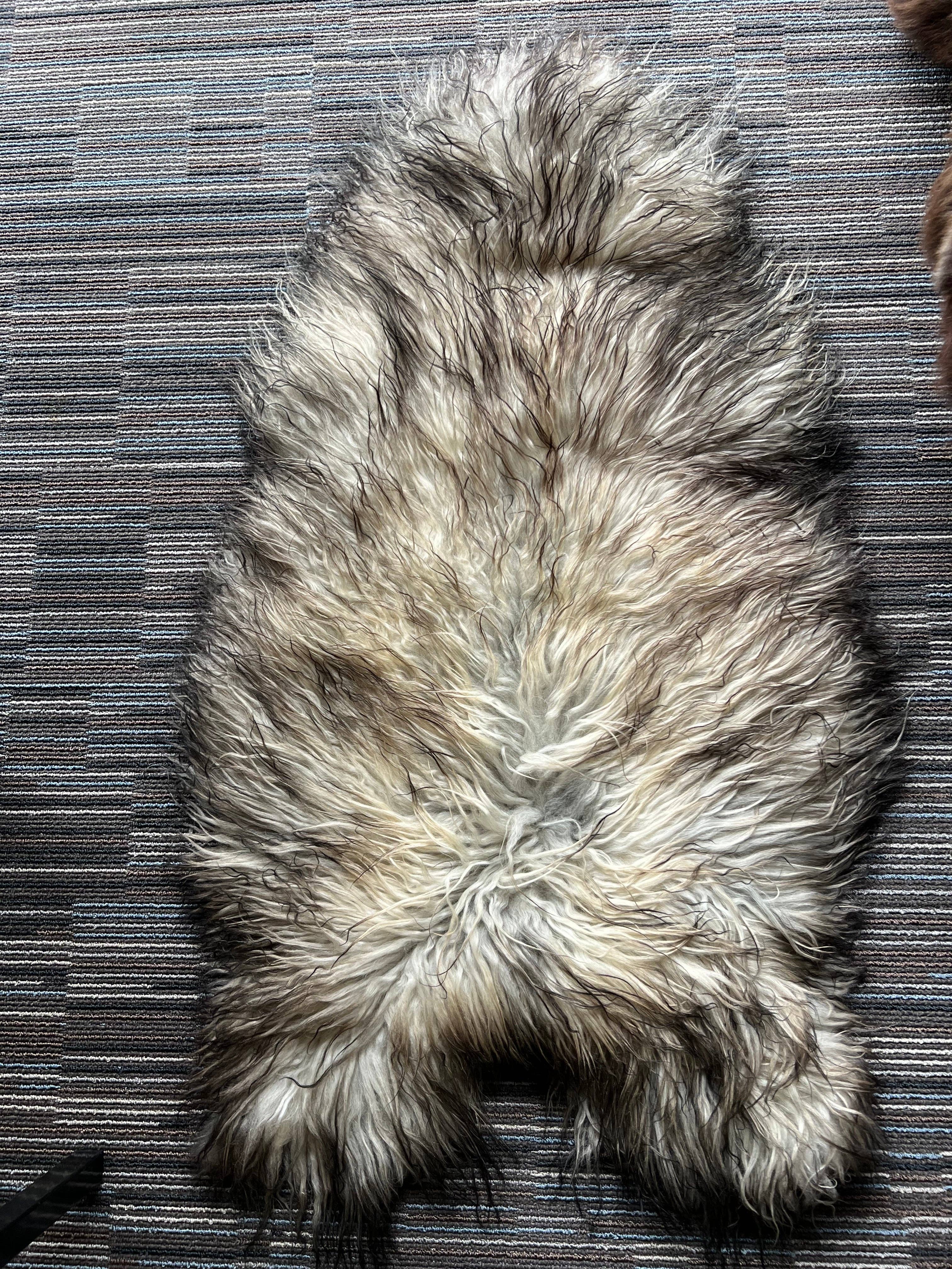 WeeSkins Holland – Engroshandel Løst tæppe – Islandsk lammeskind, stilfuldt og krøllet12