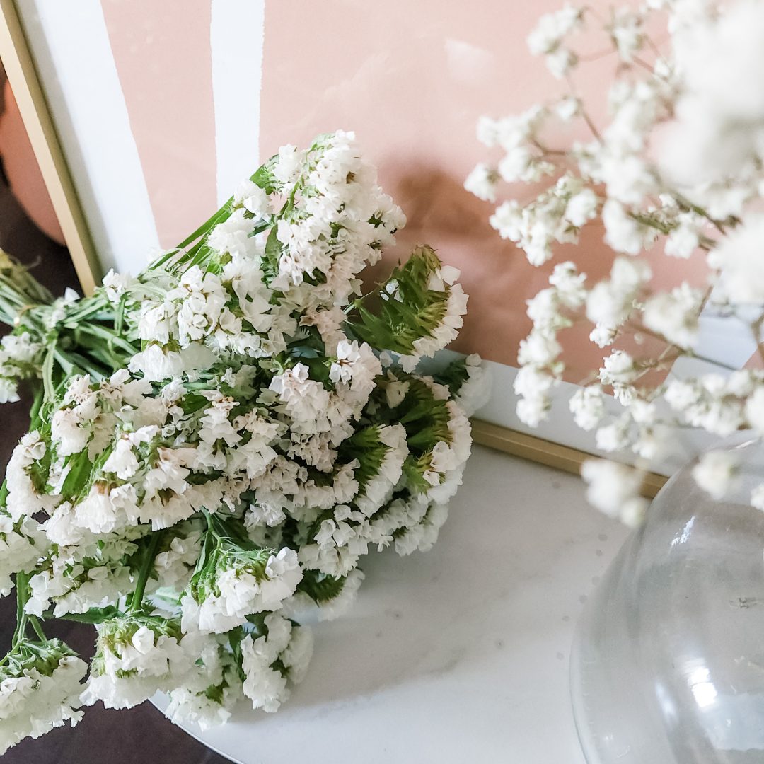 Plantita & Co. – wholesale Dried/pressed flowers – Statice Flower White Dried3