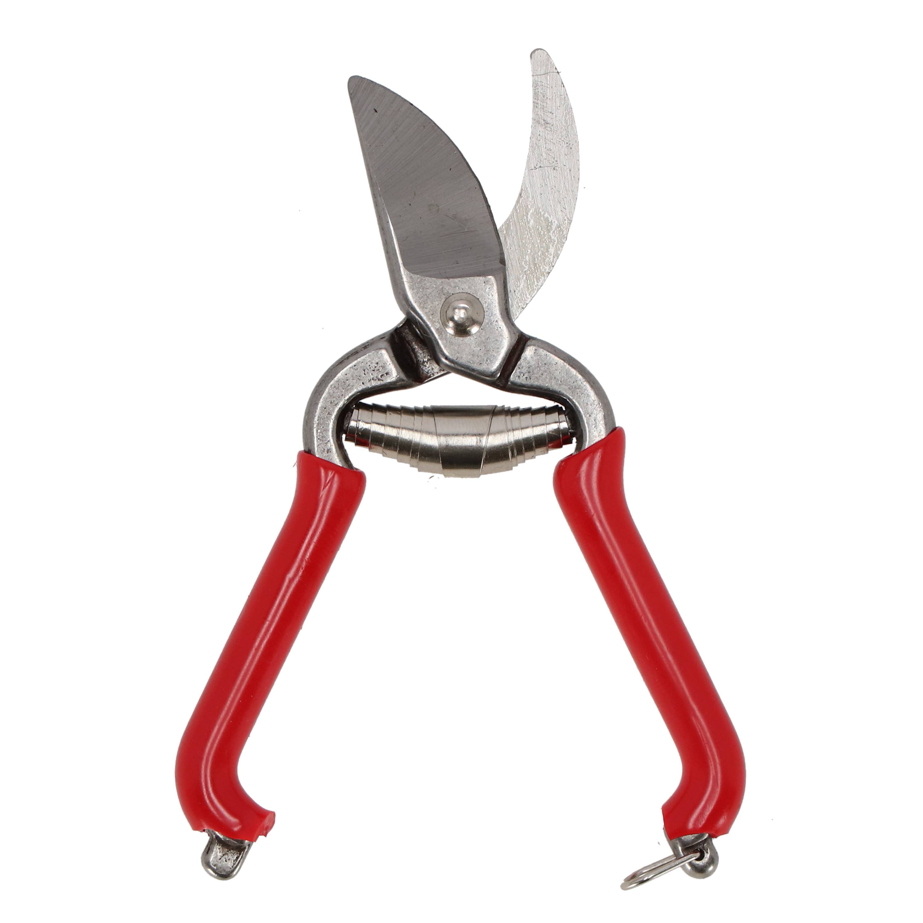 Fallen Fruits Ltd – wholesale Garden tool – GT81 - Pruner0