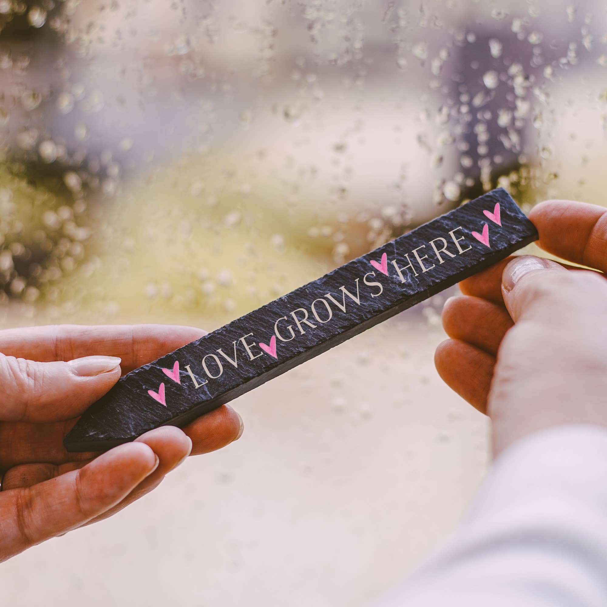 This is Nessie - Wholesale Garden/Lawn Stake - Love Grows Here Plant Markers