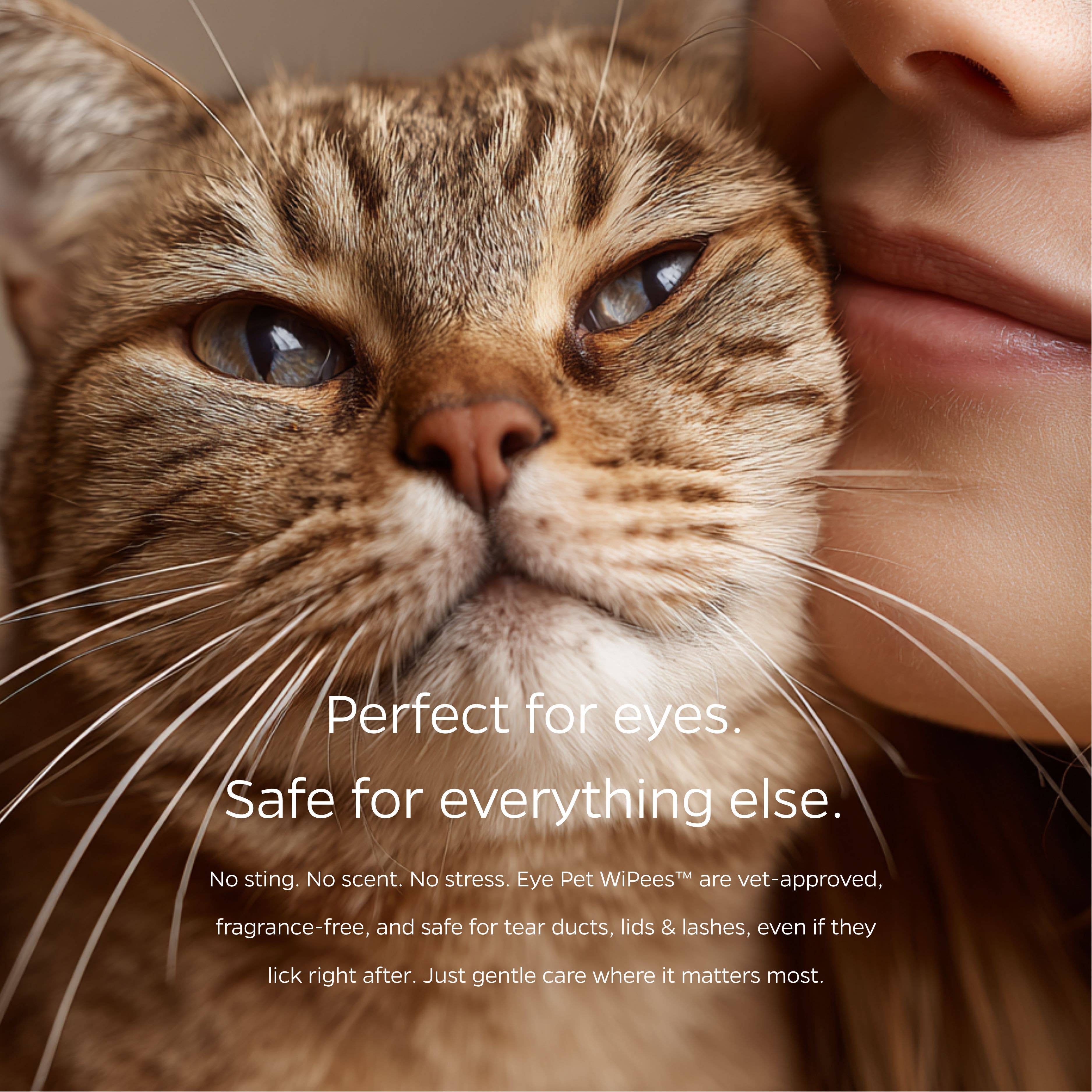 Pet Parents® - Wholesale Pet Grooming Tool - Dog - Pet WiPees™ Eye Wipes for Dogs and Cats, 100ct1