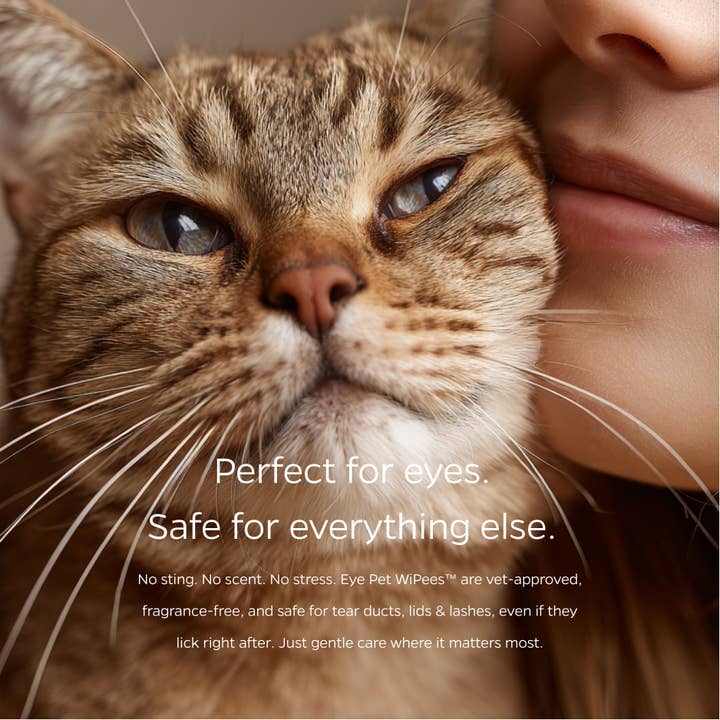 Pet Parents® - Wholesale Pet Grooming Tool - Dog - Pet WiPees™ Eye Wipes for Dogs and Cats, 100ct1