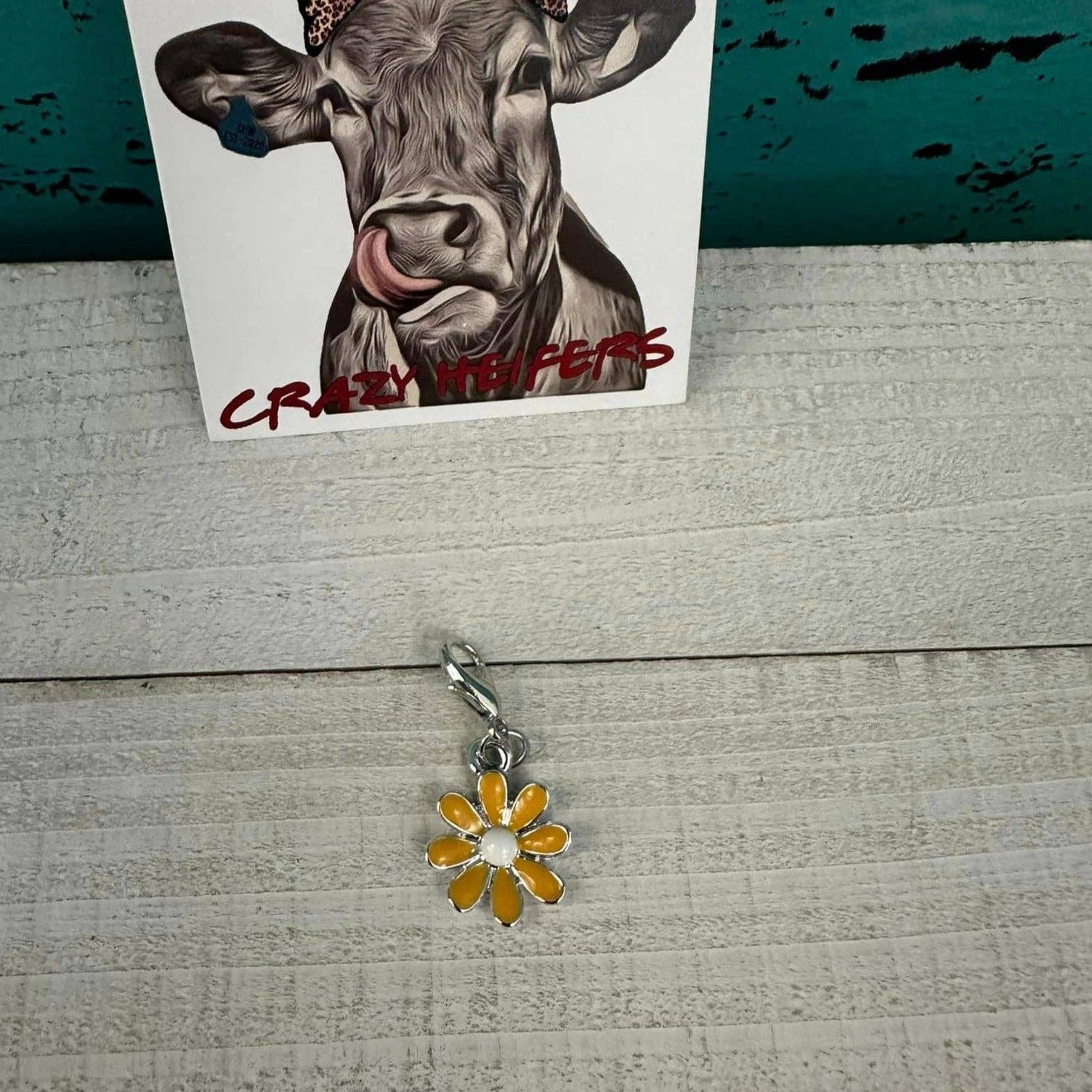 Crazy Heifers Wholesale - Wholesale Individual Charm/Pendant - Clip-on Charms Silver Tone17