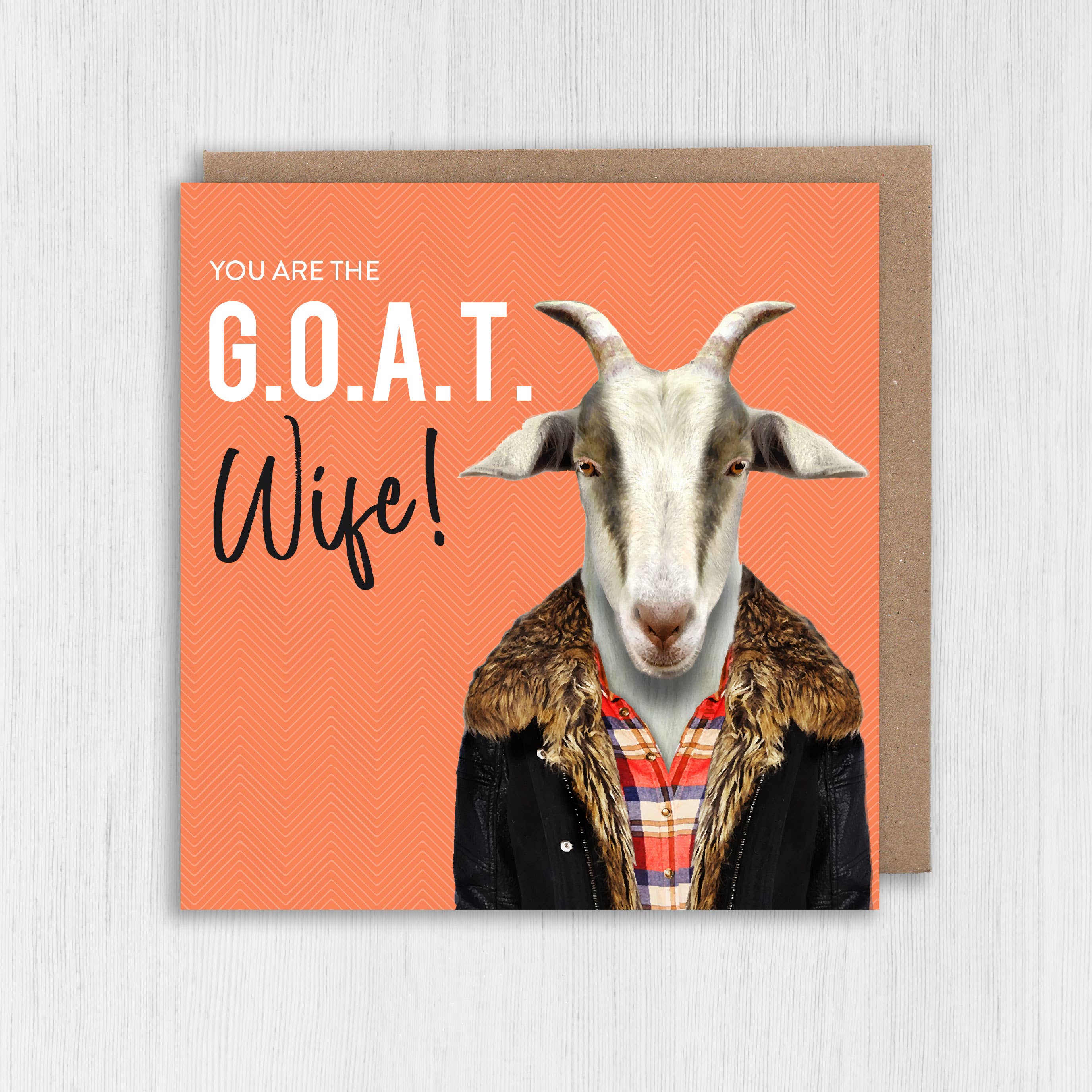 Wholesale Goat birthday card: You old goat (Animalyser) for your store -  Faire