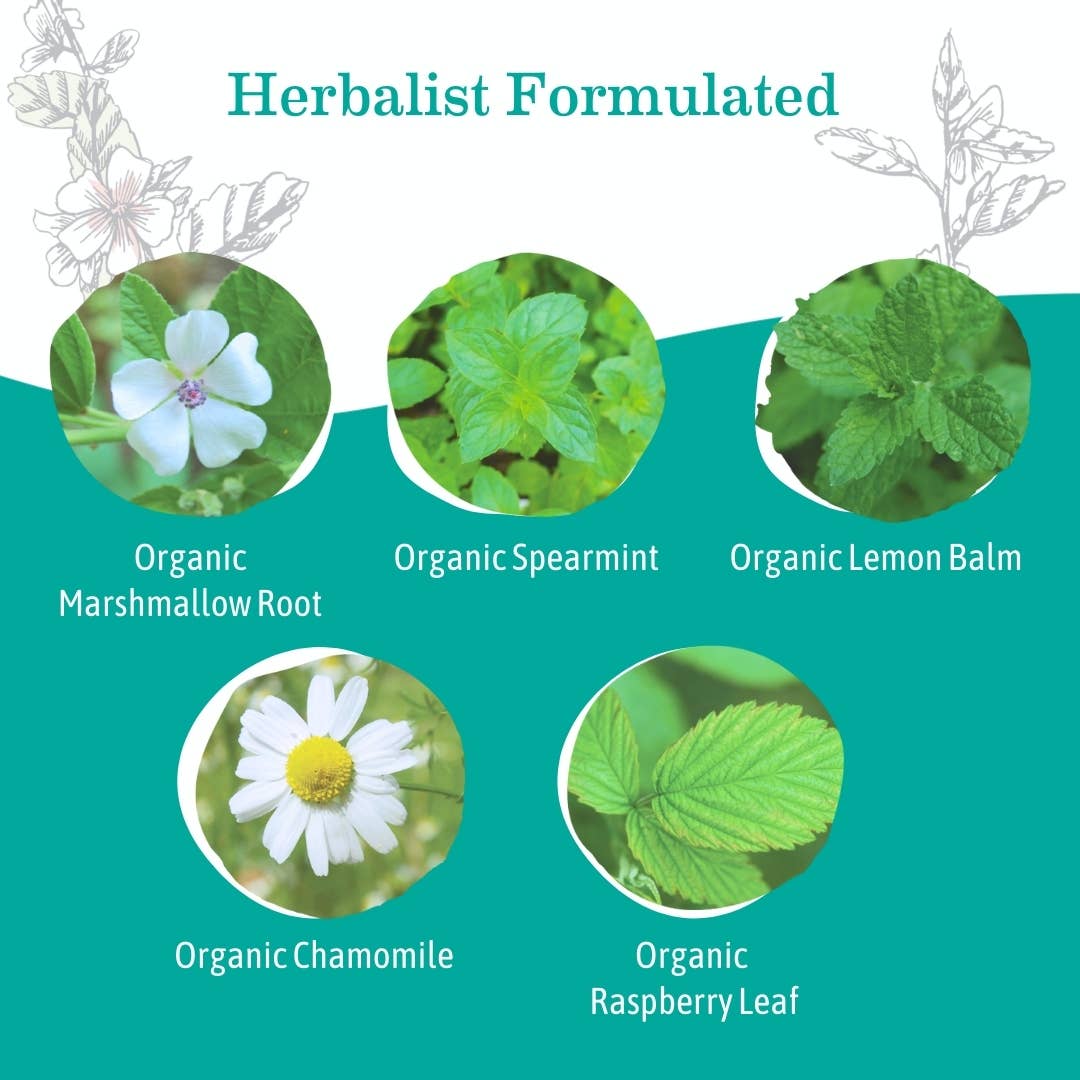 Earth Mama Organics - Wholesale Nursing Tea - Maternity - Organic Heartburn Tea3