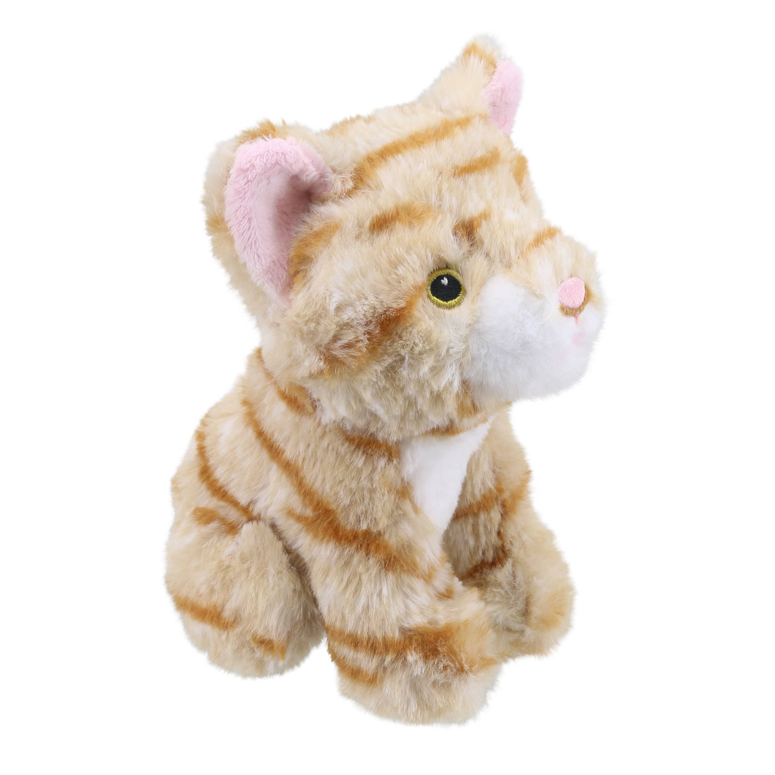 The Puppet Company (US) - Wholesale Stuffed/Plush Toy - Kids & Baby - Wilberry Eco Minis: Ginger Cat Soft Toy5