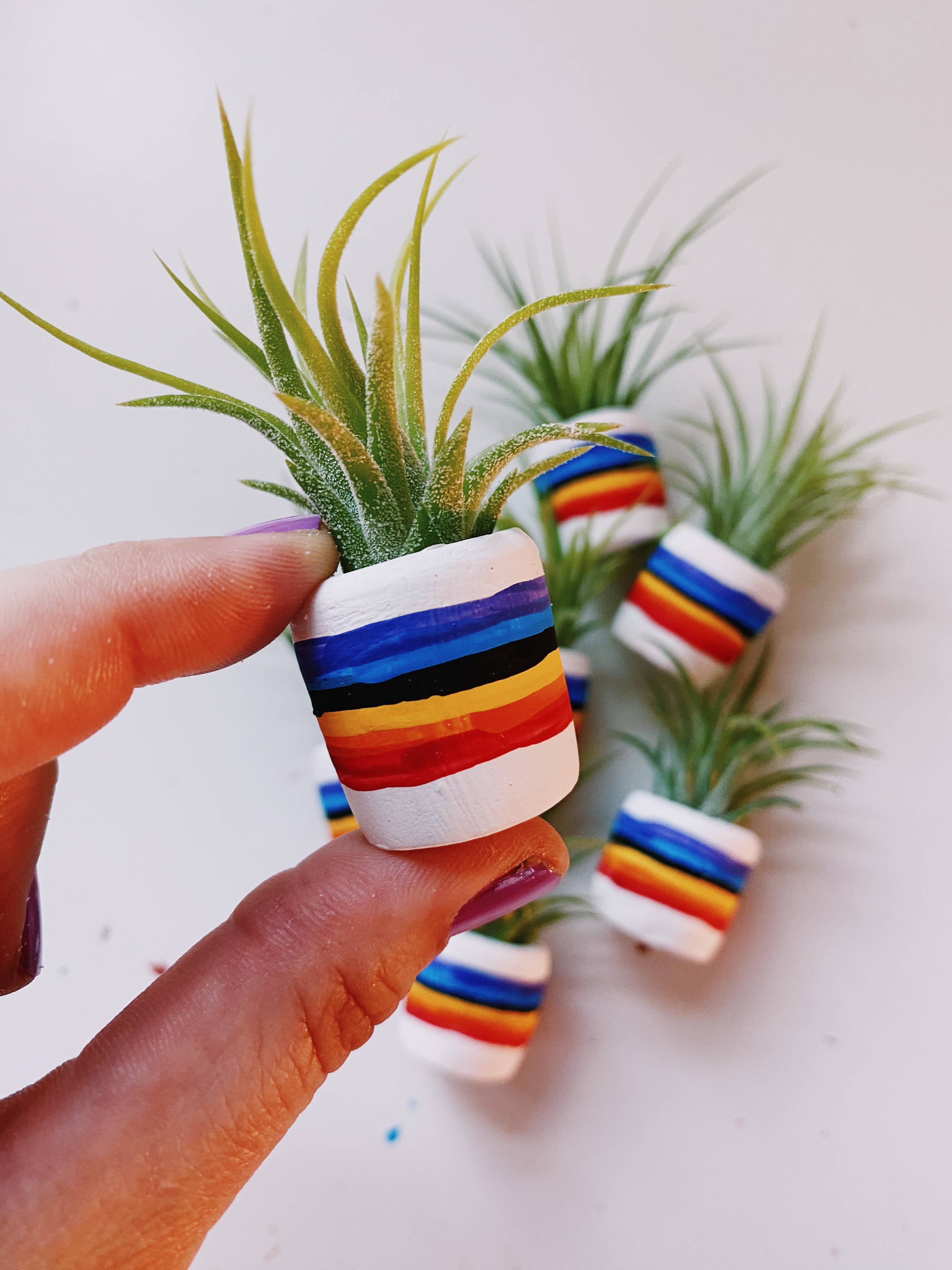 O'Berry's Succulents - Wholesale Plant Pot - 80"s Rainbow Mini Planter1