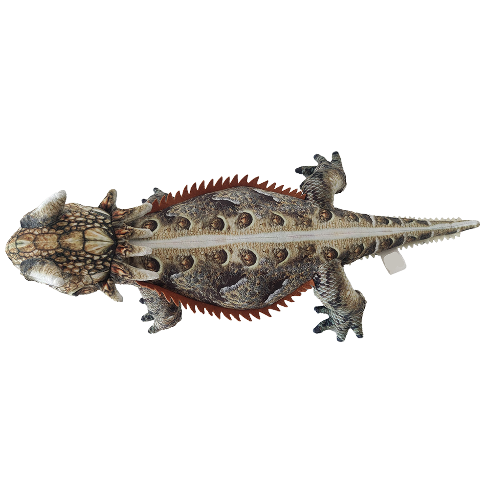 Texas Toy Distribution - Wholesale Stuffed/Plush Toy - Kids & Baby - Texas Horned Lizard Plush 20.5" Stuffed Animal3