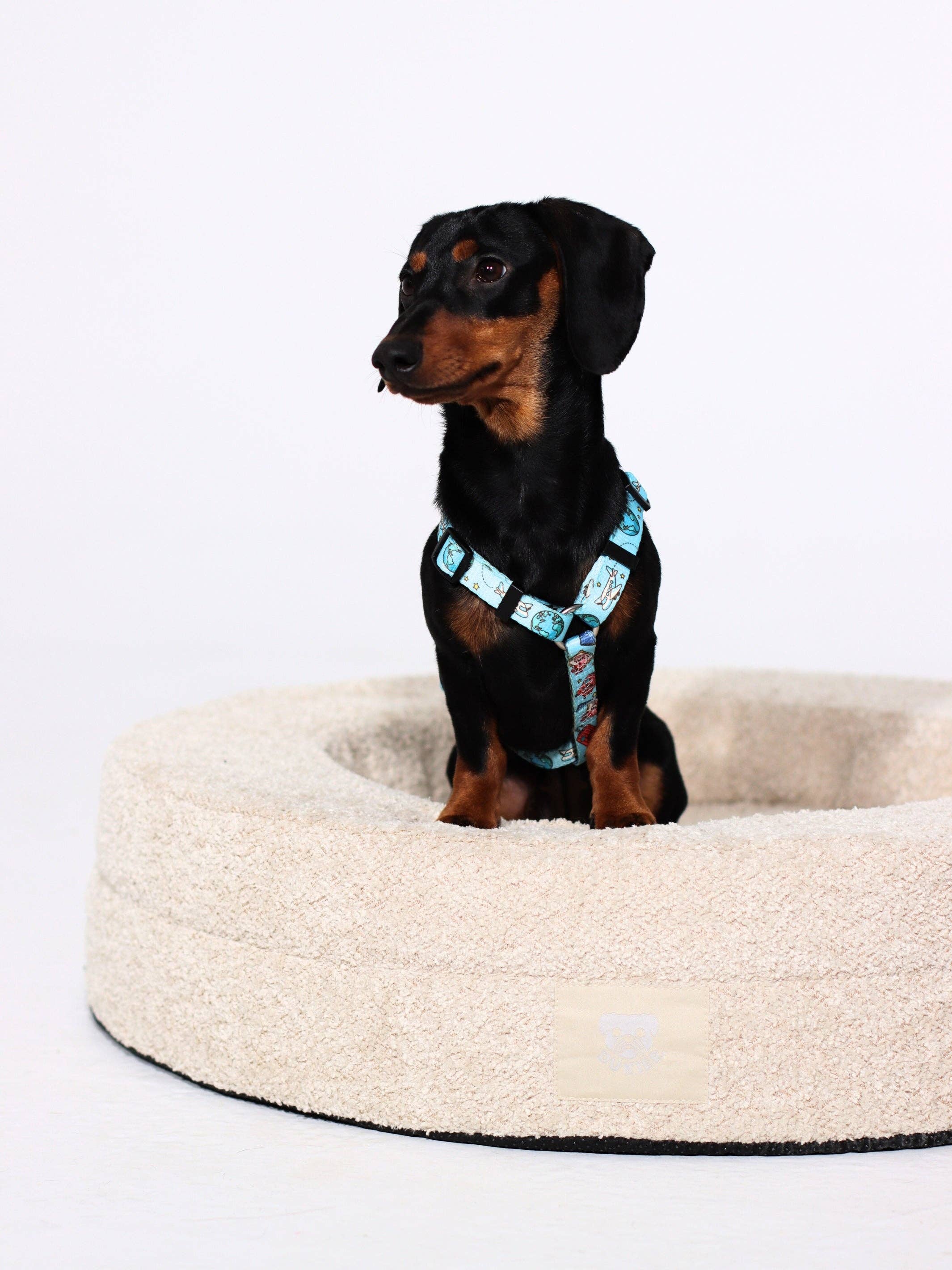 Dukier - Vente Panier – chien - Dukier Lit pour Chien Orthopédique avec Matelas Mémoire de Forme10