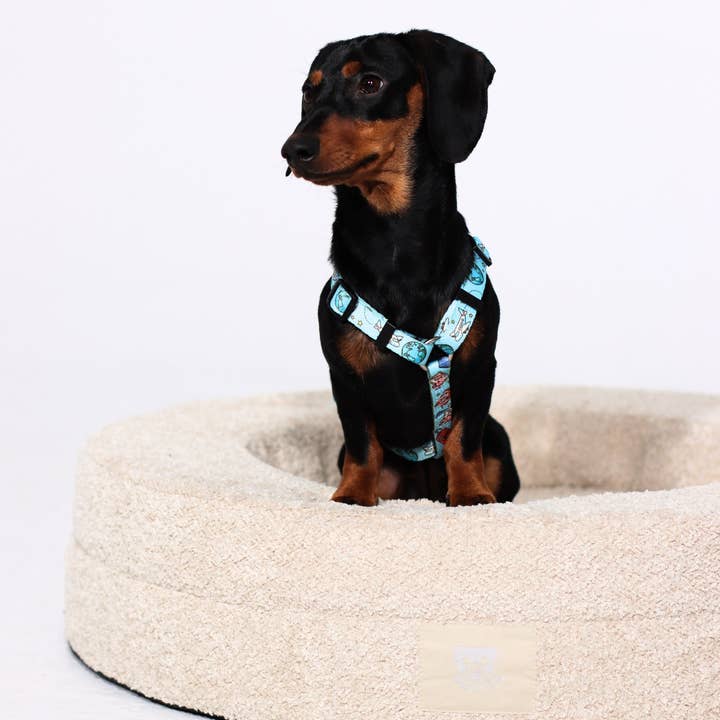 Dukier - Wholesale Pet Bed - Dog - DUKIER DOG BED10