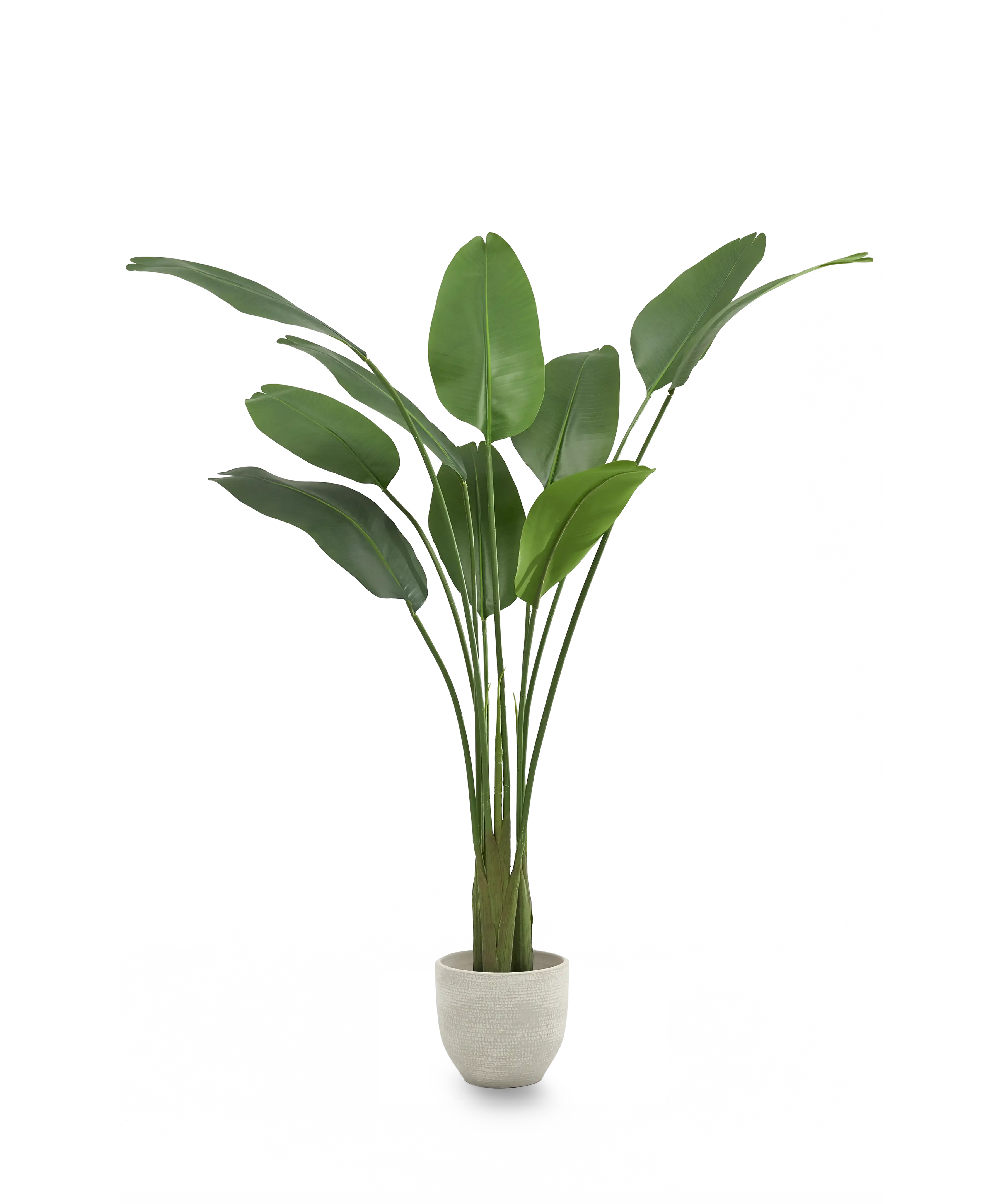 Maia Shop - Wholesale Artificial Plant - Artificial Bird of Paradise 180 cm5