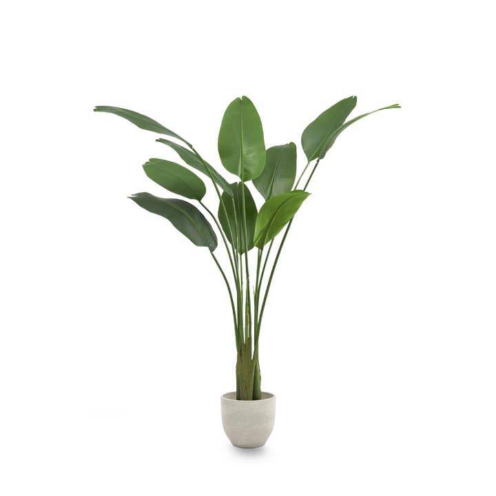 Maia Shop - Wholesale Artificial Plant - Artificial Bird of Paradise 180 cm5