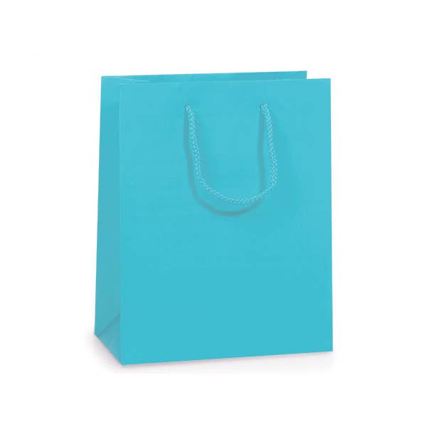 Nashville Wraps - Wholesale Gift Bag - Matte Paper Cord Handle Gift Bags29