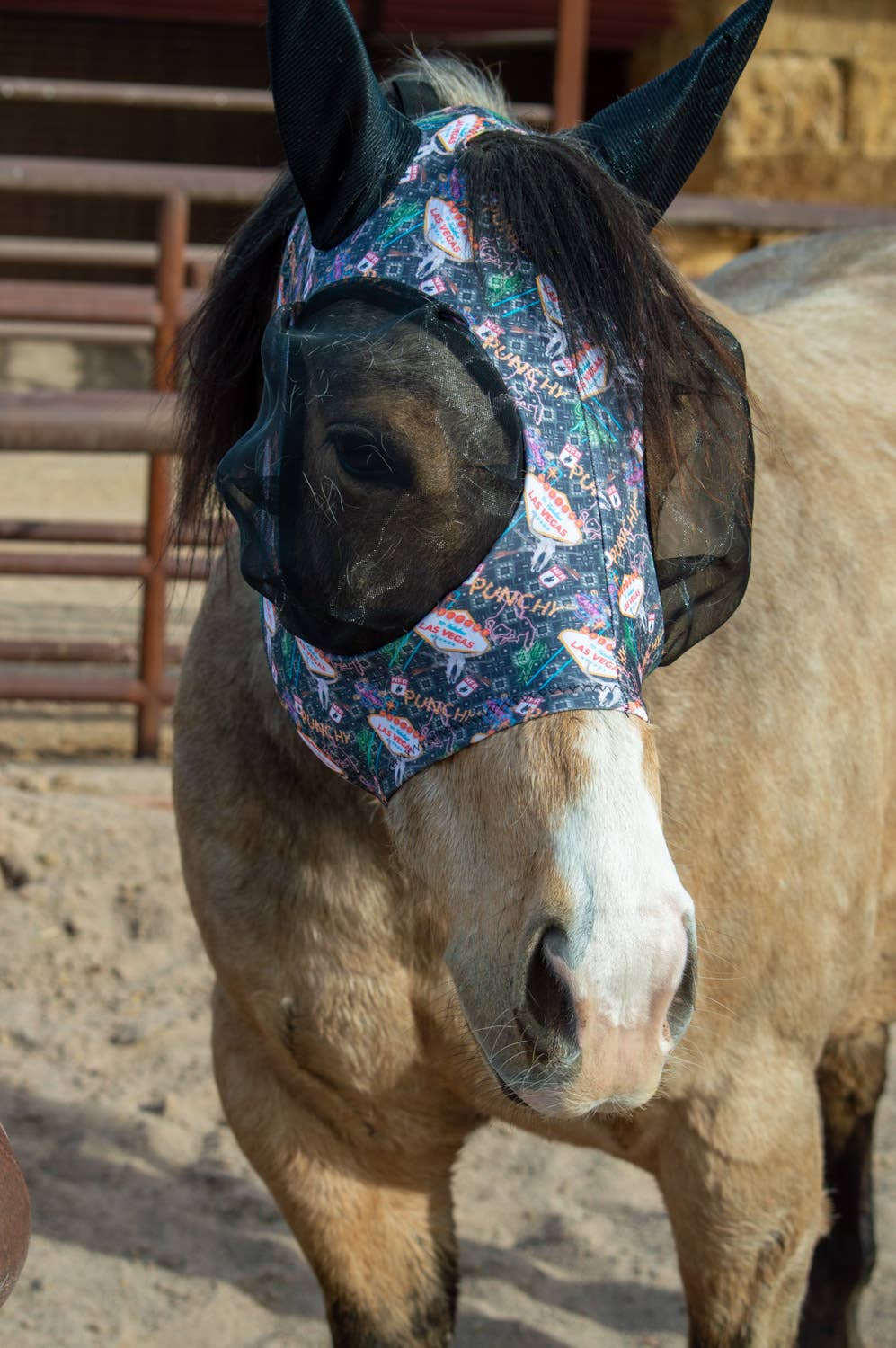 Schulz Equine - Wholesale Horseback Riding Gear - Lycra Fly Mask36