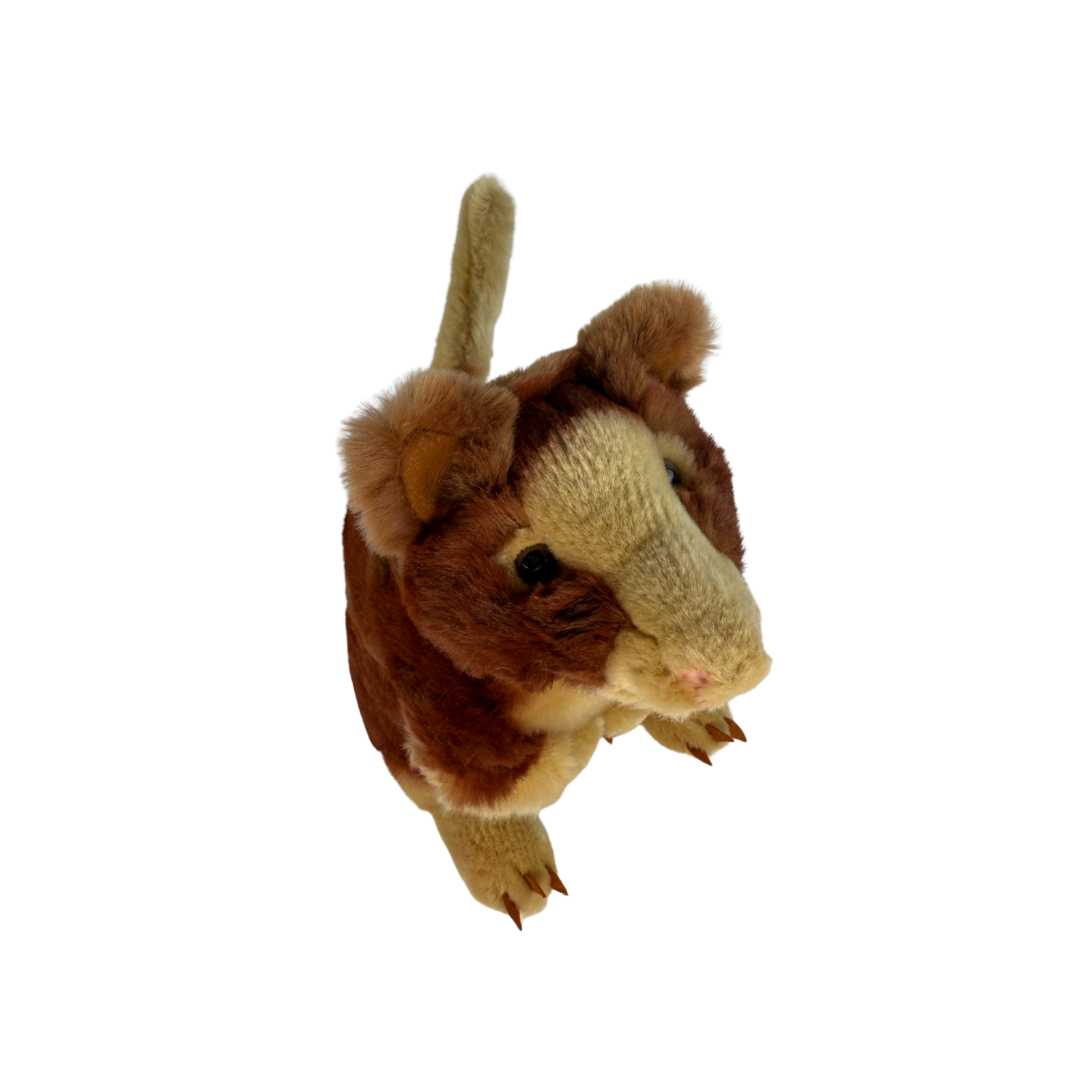 Bocchetta Plush Toys - Wholesale Stuffed/Plush Toy - Kids & Baby - Rufus - Red Tree Kangaroo - 25cm2