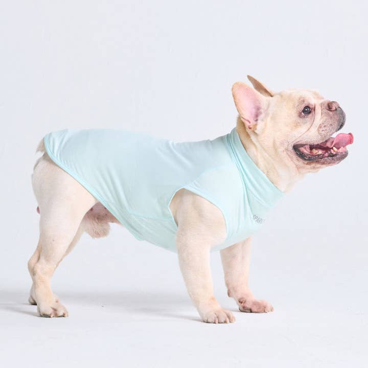 Spark Paws - Wholesale Pet shirt – Dog - Sunblock Dog T-Shirt - Baby Blue2