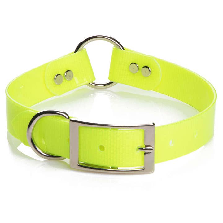 Mendota Pet - Venta al por mayor Collar - Perros - Collares sintéticos de seguridad Mendota, 1 pulgada de ancho