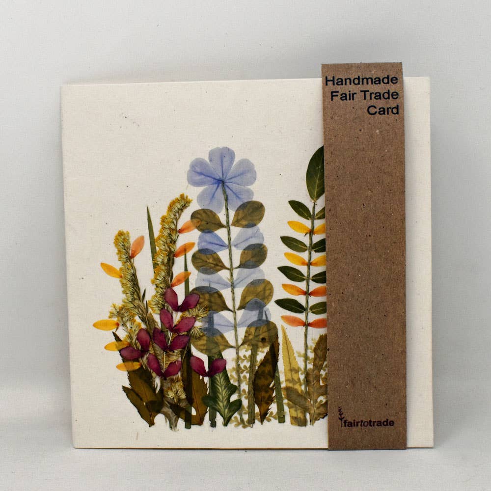 Fair to Trade Ltd – wholesale Vardagliga hälsningskort – Pressat blomkort Rättvisemärkt blomsterträdgård3