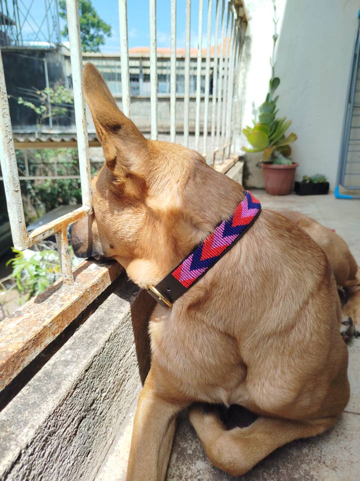 Maasai Leather Pink Beaded Dog Collar / African Dog Collar for wholesale by African Craft Collection