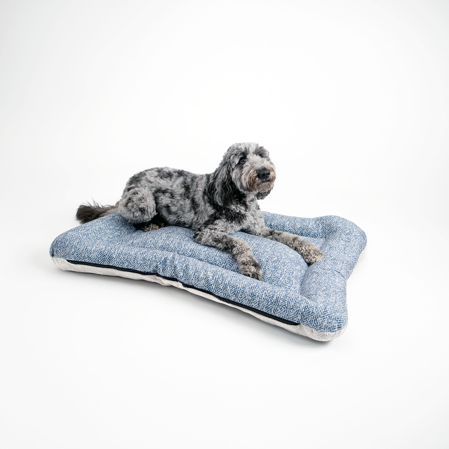 Snoozer Pet Products - Vendita all'ingrosso Letto - Cani - Cuccia per Cani All Day di Snoozer11