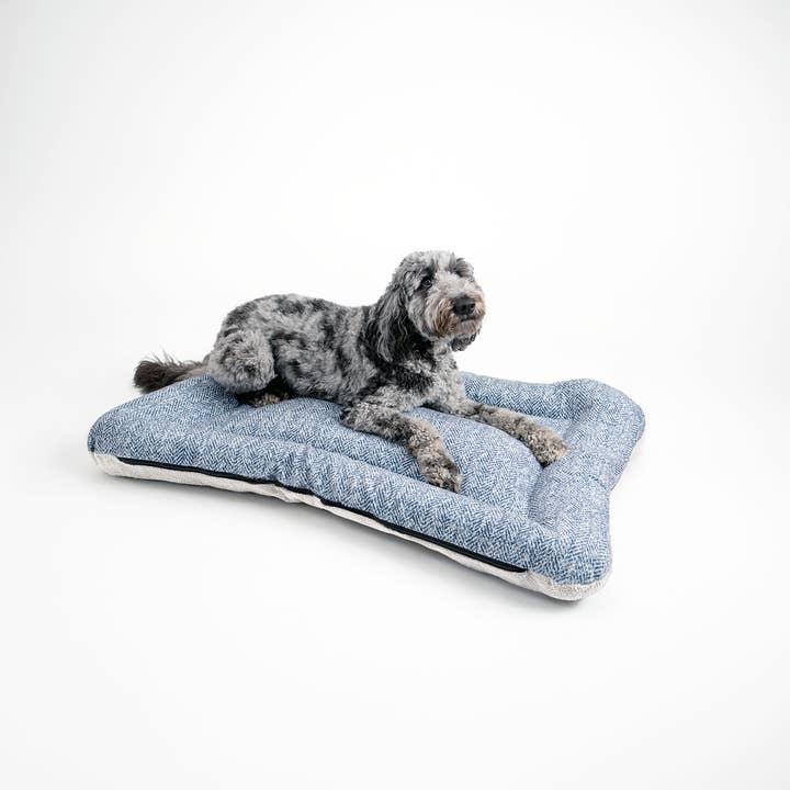 Snoozer Pet Products - Vendita all'ingrosso Letto - Cani - Cuccia per Cani All Day di Snoozer11
