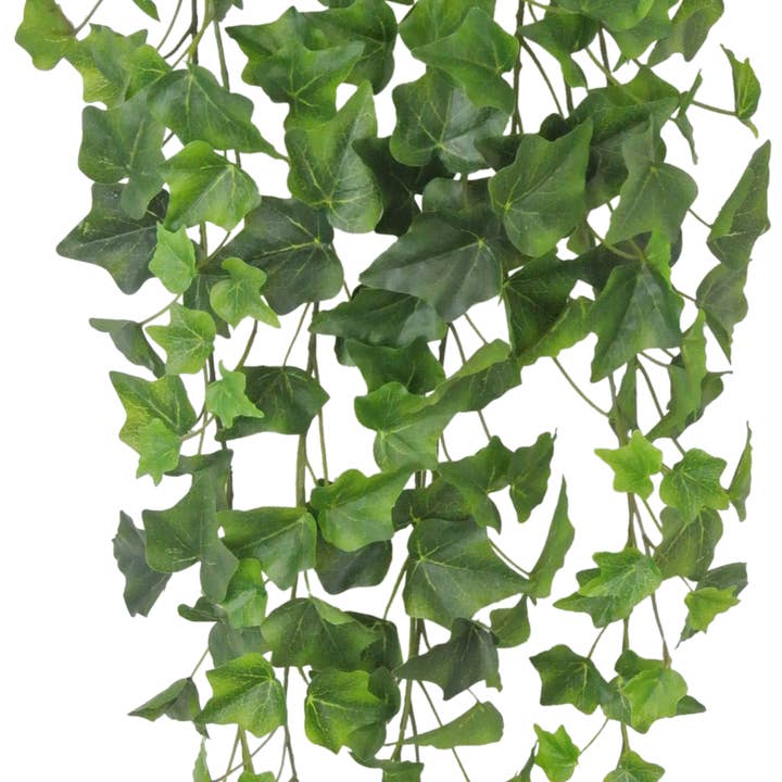 General Wholesale Inc - Wholesale Artificial Plant - 40 IN REAL TOUCH IVY HANGER X - 80242-GREEN