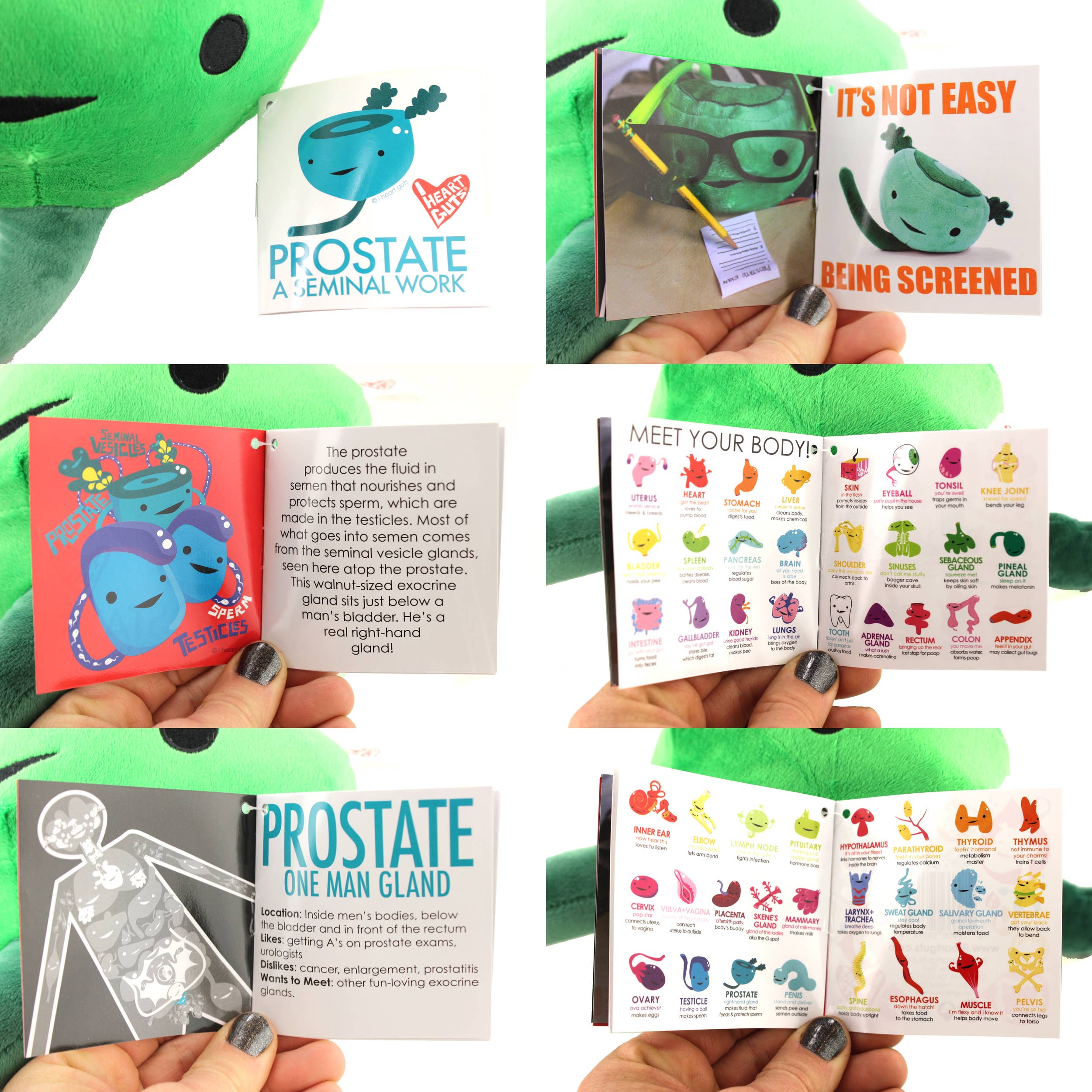 I Heart Guts | Organ Plushies Wholesale – Engroshandel Plyslegetøj - Børn og baby – Prostata Plush - Et skelsættende arbejde7